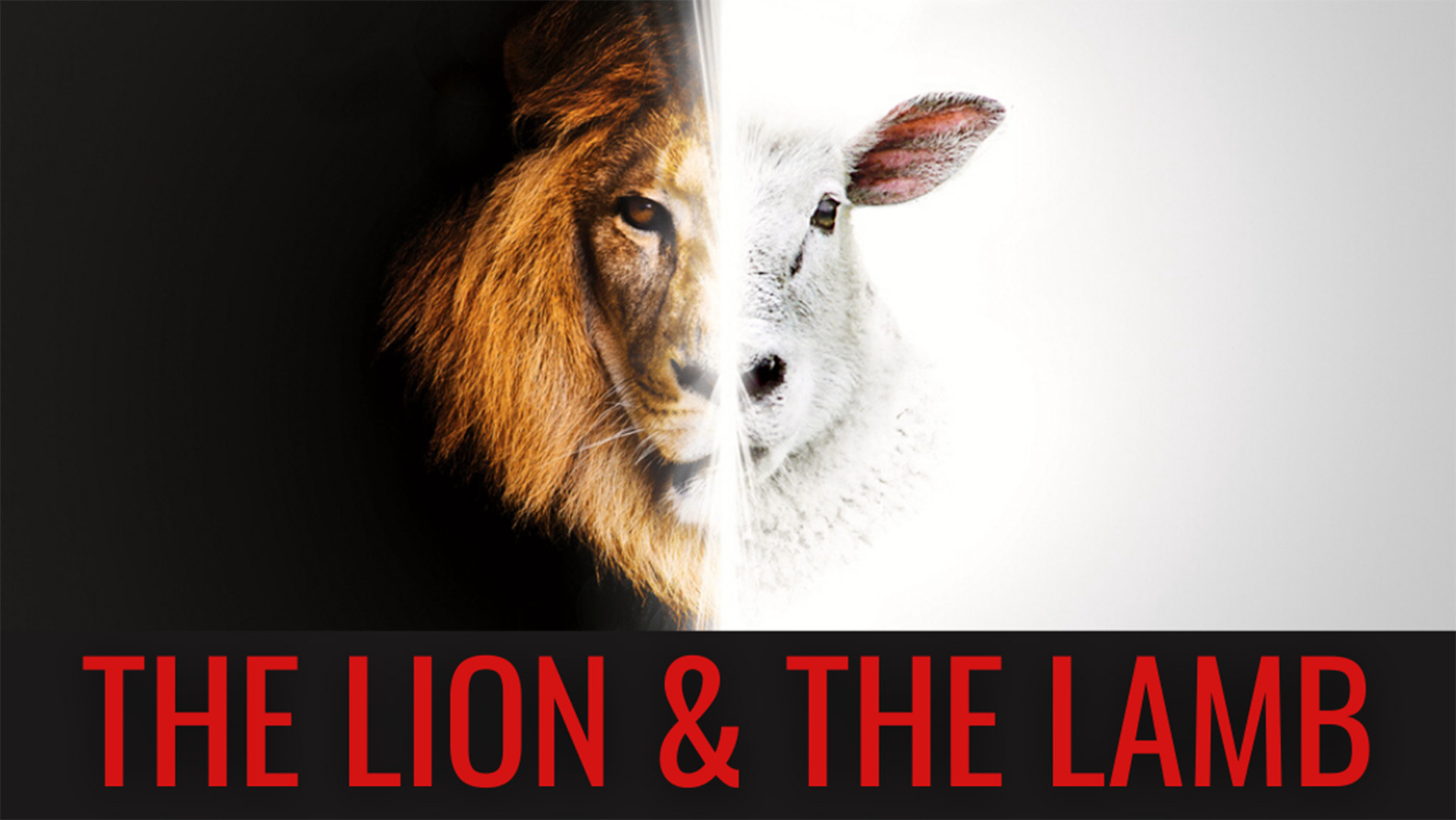 The Lion & the Lamb sermon series